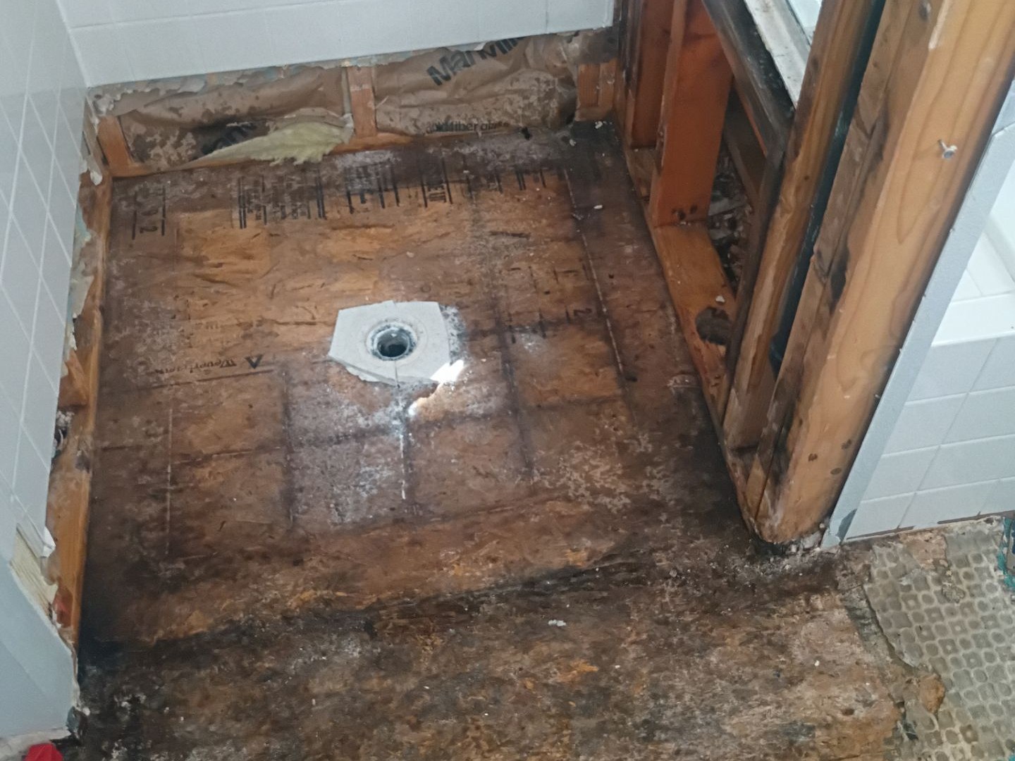 Shower area opened to reveal moisture-damaged subfloor and framing.