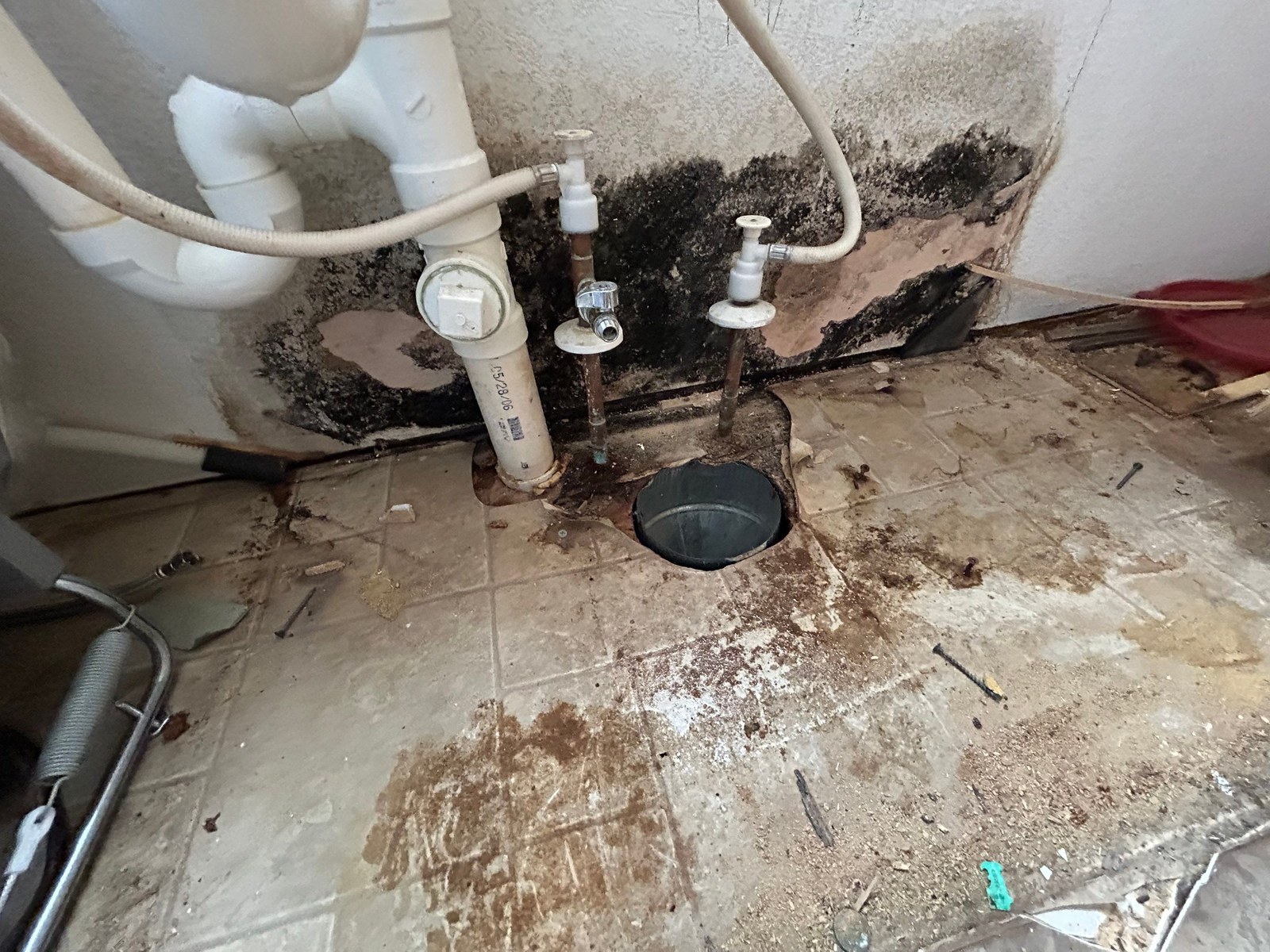 Cabinet removed to reveal extensive dark mold growth around the sink plumbing.